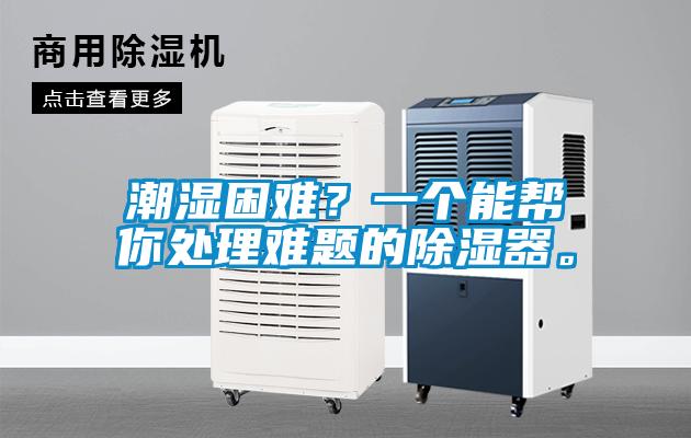 潮濕困難？一個(gè)能幫你處理難題的除濕器。