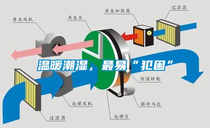 溫暖潮濕，最易“犯困”