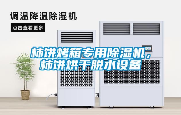 柿餅烤箱專(zhuān)用除濕機(jī),柿餅烘干脫水設(shè)備