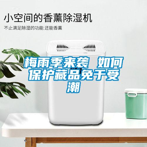 梅雨季來襲 如何保護(hù)藏品免于受潮