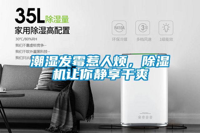 潮濕發霉惹人煩，除濕機讓你靜享干爽