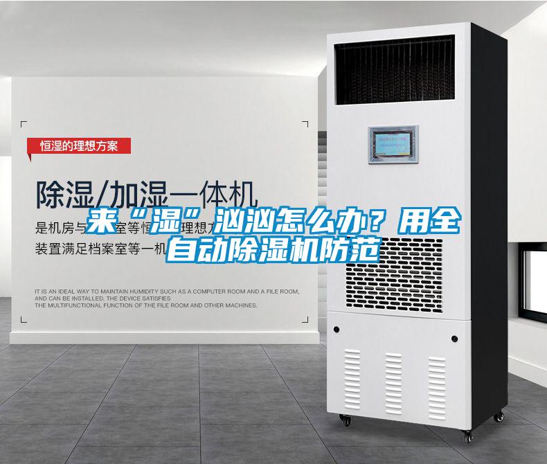 來(lái)“濕”洶洶怎么辦？用全自動(dòng)除濕機(jī)防范