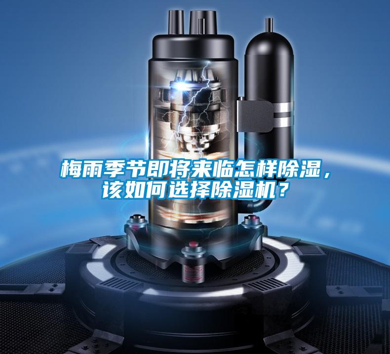 梅雨季節即將來臨怎樣除濕，該如何選擇除濕機？