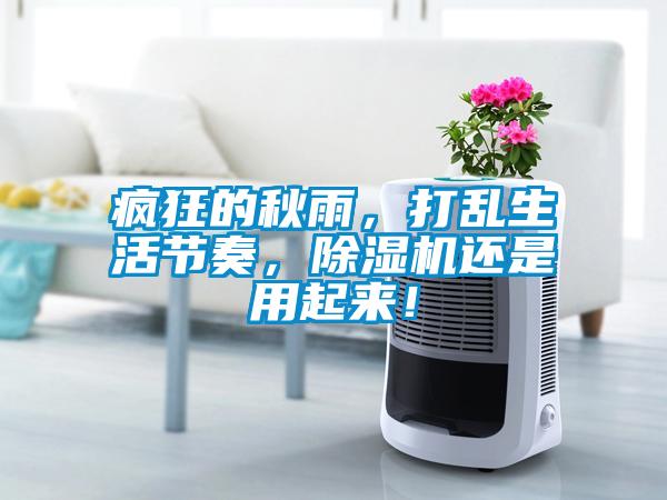 瘋狂的秋雨，打亂生活節(jié)奏，除濕機(jī)還是用起來！
