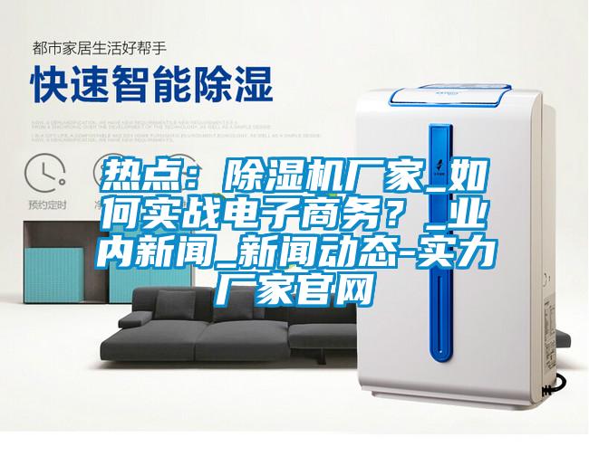 熱點：除濕機廠家_如何實戰電子商務？_業內新聞_新聞動態-實力廠家官網