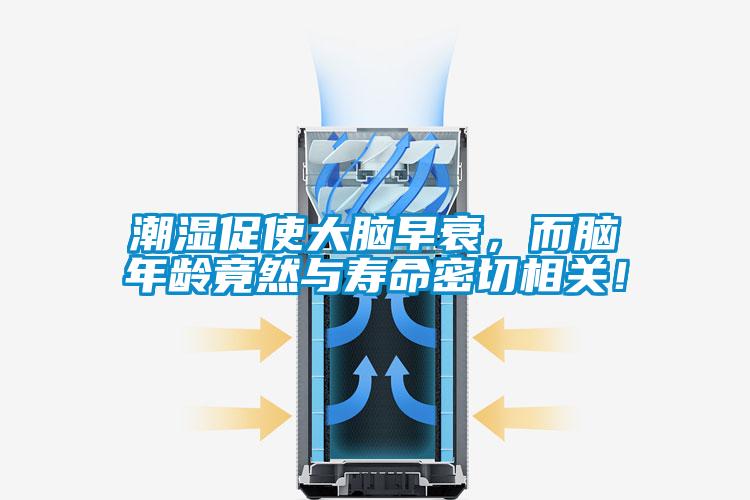 潮濕促使大腦早衰，而腦年齡竟然與壽命密切相關！