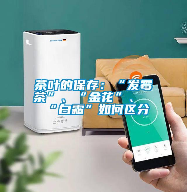 茶葉的保存：“發霉茶”、“金花”、“白霜”如何區分
