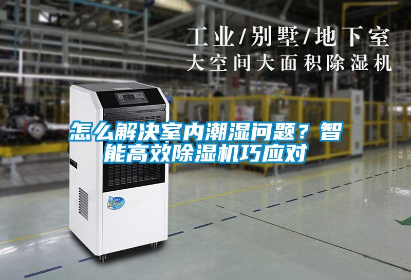 怎么解決室內潮濕問題？智能高效除濕機巧應對