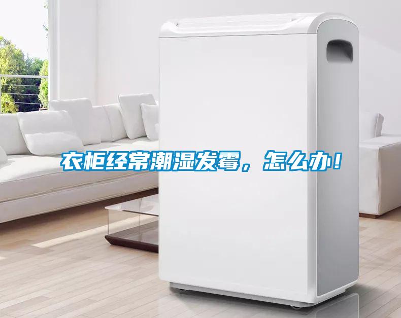衣柜經常潮濕發霉，怎么辦！