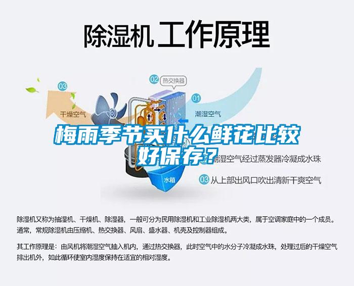 梅雨季節(jié)買什么鮮花比較好保存？