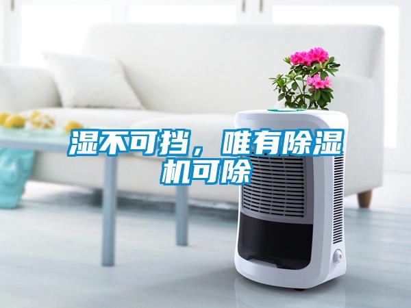 濕不可擋，唯有除濕機可除