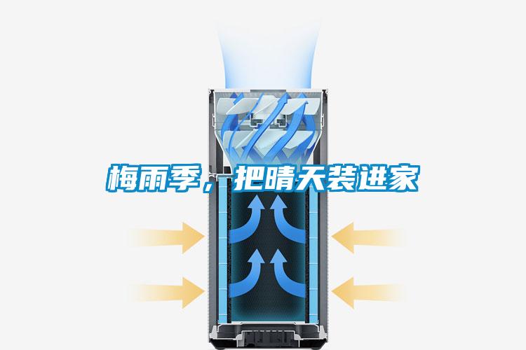 梅雨季，把晴天裝進(jìn)家
