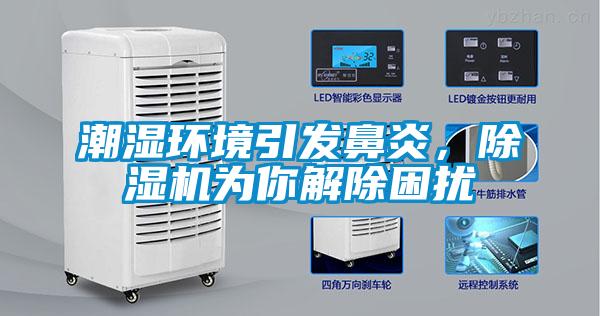 潮濕環境引發鼻炎，除濕機為你解除困擾