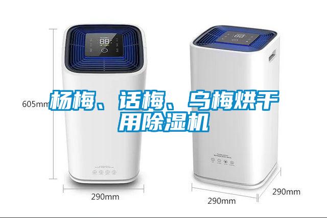 楊梅、話梅、烏梅烘干用除濕機