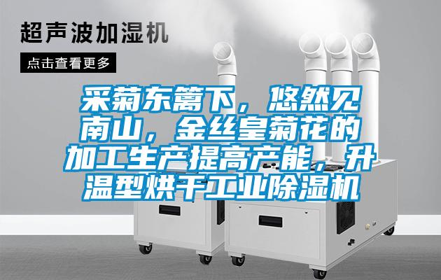 采菊東籬下，悠然見南山，金絲皇菊花的加工生產(chǎn)提高產(chǎn)能，升溫型烘干工業(yè)除濕機