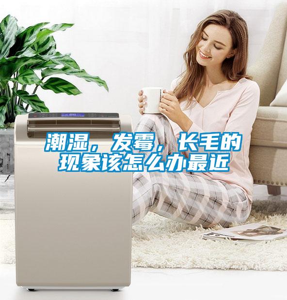 潮濕，發(fā)霉，長毛的現(xiàn)象該怎么辦最近