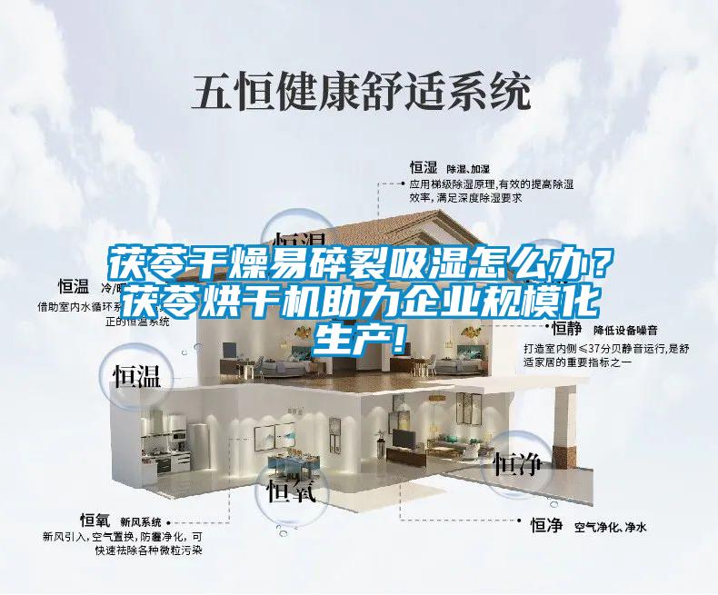 茯苓干燥易碎裂吸濕怎么辦？茯苓烘干機助力企業規模化生產!