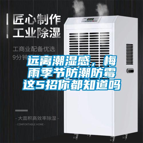 遠(yuǎn)離潮濕感，梅雨季節(jié)防潮防霉這5招你都知道嗎