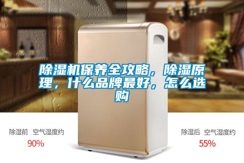 除濕機保養全攻略，除濕原理，什么品牌最好，怎么選購