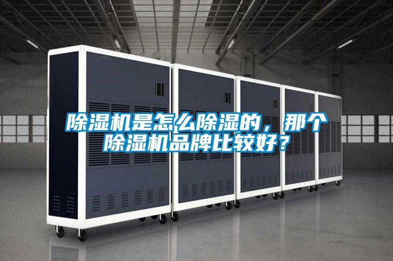 除濕機(jī)是怎么除濕的，那個(gè)除濕機(jī)品牌比較好？