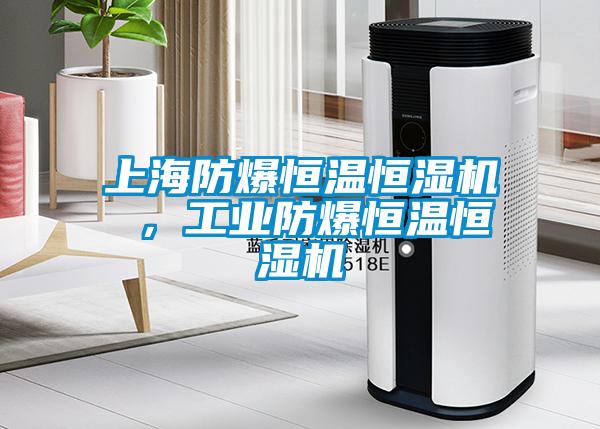 上海防爆恒溫恒濕機 ，工業防爆恒溫恒濕機