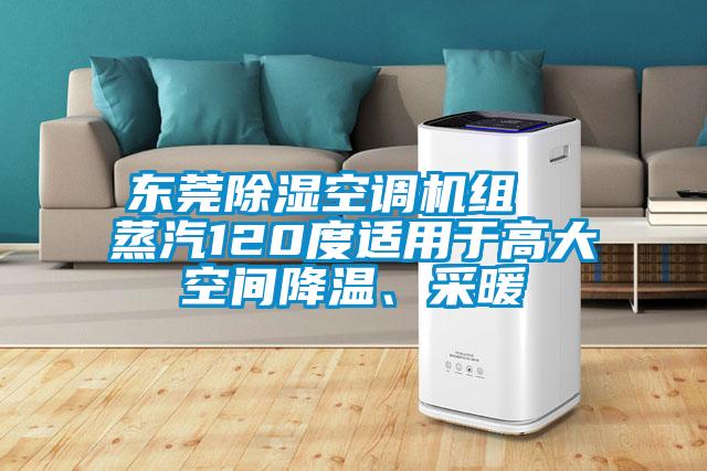 東莞除濕空調(diào)機(jī)組  蒸汽120度適用于高大空間降溫、采暖