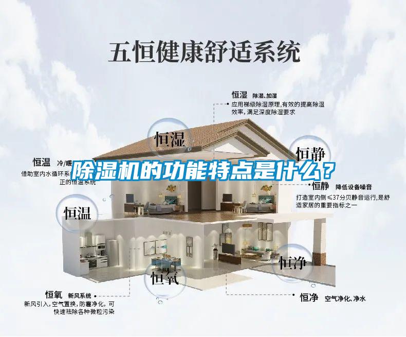 除濕機(jī)的功能特點(diǎn)是什么？