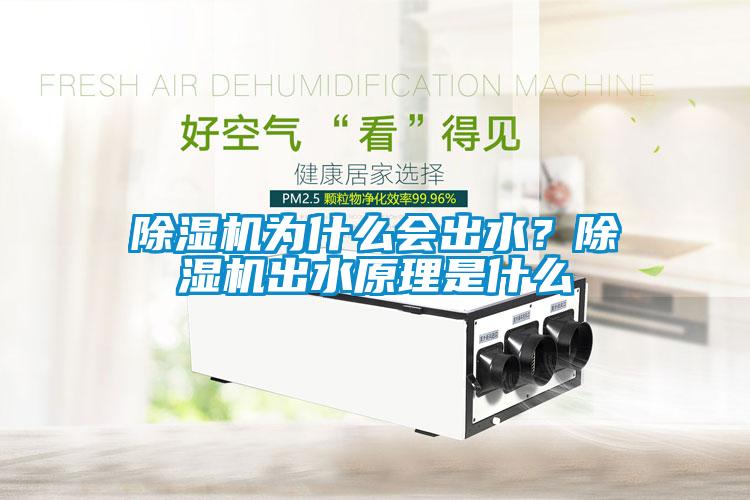 除濕機為什么會出水？除濕機出水原理是什么