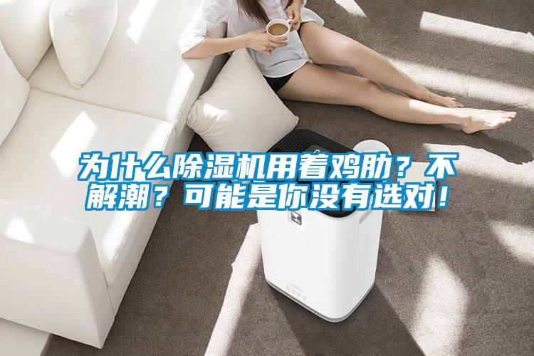 為什么除濕機用著雞肋？不解潮？可能是你沒有選對！