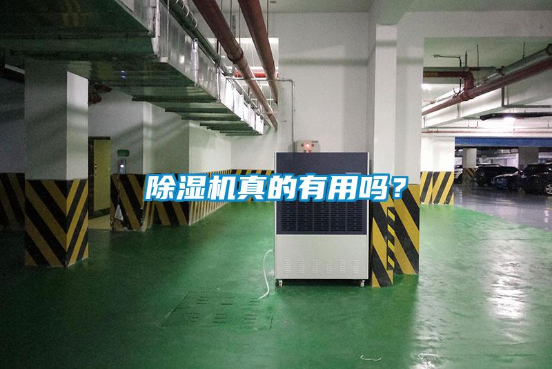 除濕機真的有用嗎？