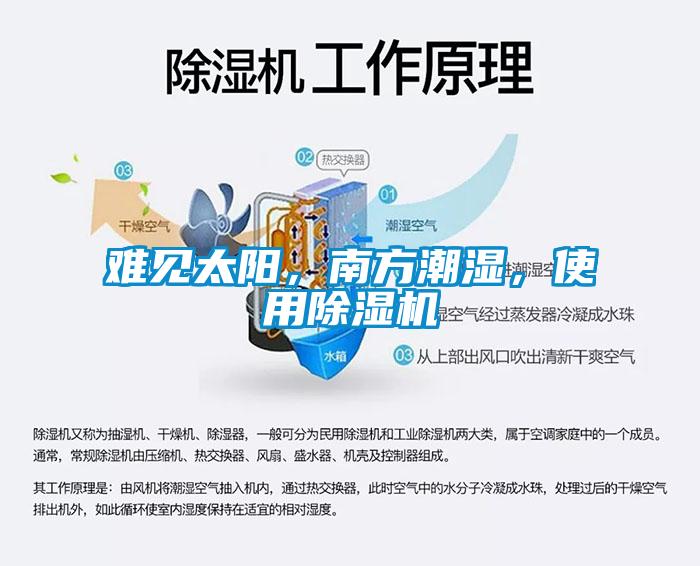 難見(jiàn)太陽(yáng)，南方潮濕，使用除濕機(jī)