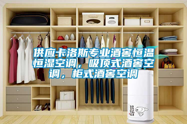 供應卡洛斯專業酒窖恒溫恒濕空調，吸頂式酒窖空調，柜式酒窖空調