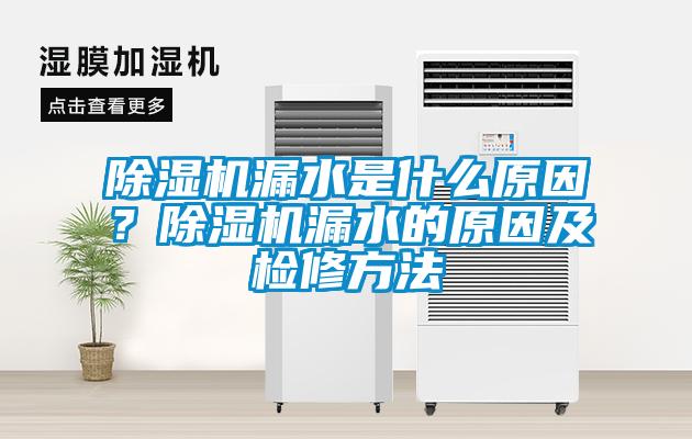 除濕機(jī)漏水是什么原因？除濕機(jī)漏水的原因及檢修方法