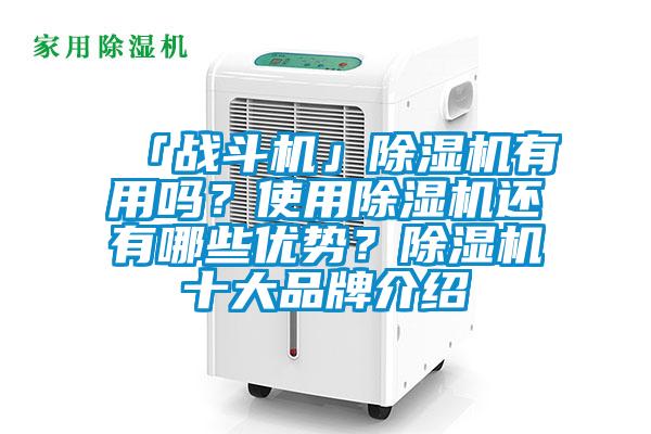 「戰斗機」除濕機有用嗎？使用除濕機還有哪些優勢？除濕機十大品牌介紹