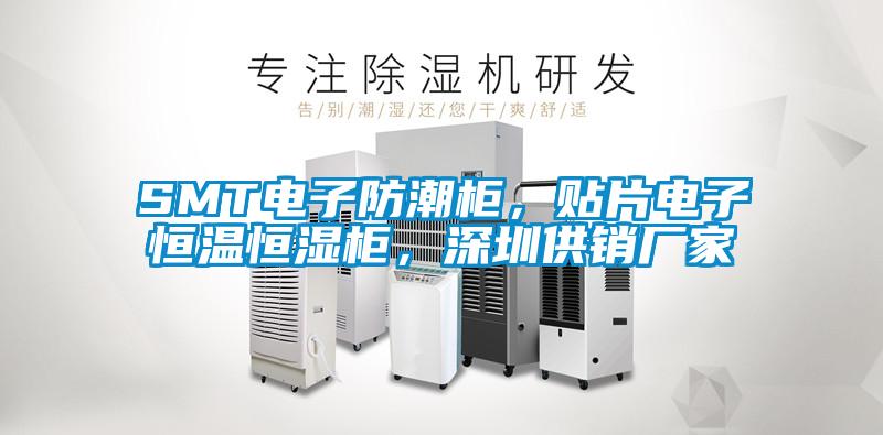 SMT電子防潮柜，貼片電子恒溫恒濕柜，深圳供銷廠家