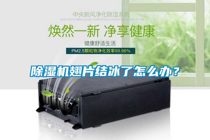 除濕機翅片結冰了怎么辦？