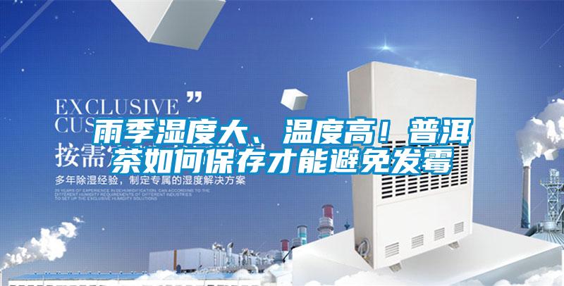 雨季濕度大、溫度高！普洱茶如何保存才能避免發(fā)霉