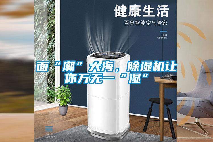 面“潮”大海，除濕機讓你萬無一“濕”