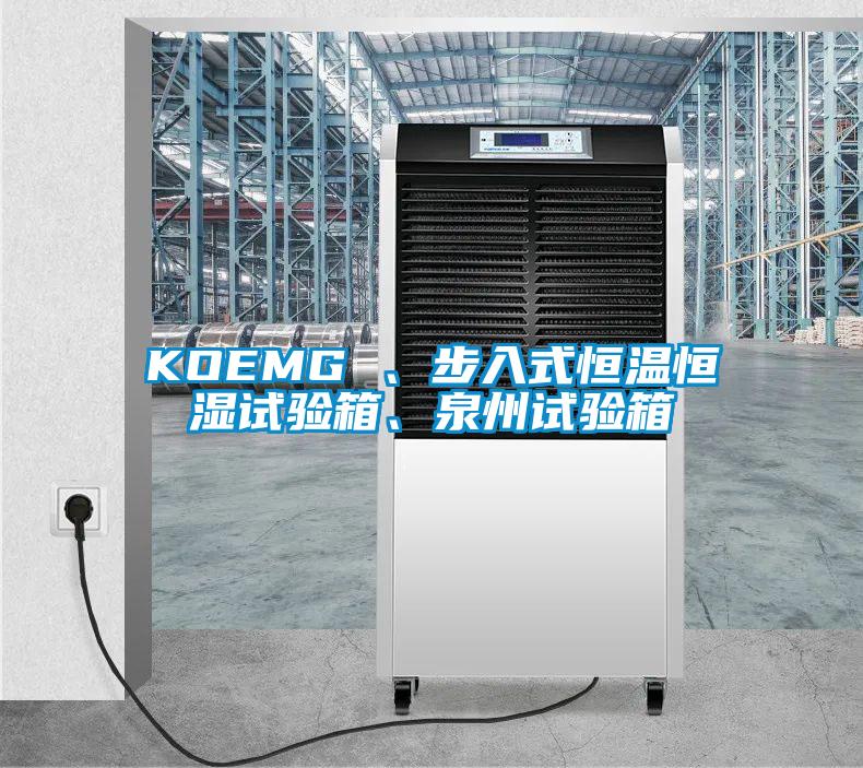 KOEMG 、步入式恒溫恒濕試驗箱、泉州試驗箱