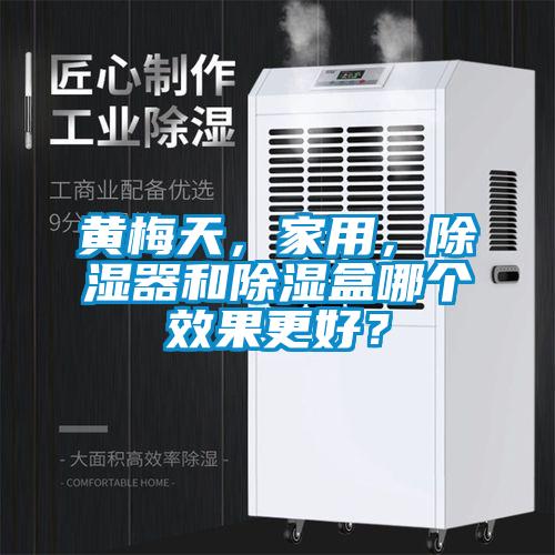 黃梅天，家用，除濕器和除濕盒哪個效果更好？