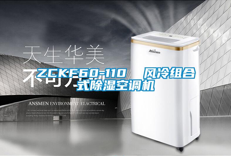 ZCKF60-110  風(fēng)冷組合式除濕空調(diào)機