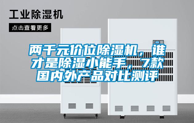 兩千元價位除濕機，誰才是除濕小能手，7款國內外產品對比測評