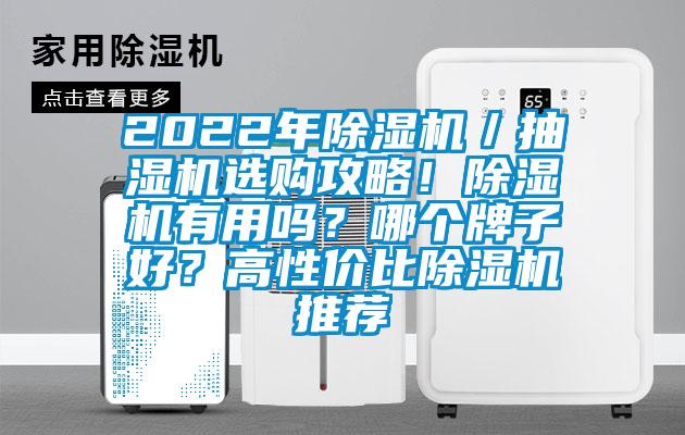 2022年除濕機(jī)／抽濕機(jī)選購攻略！除濕機(jī)有用嗎？哪個牌子好？高性價比除濕機(jī)推薦