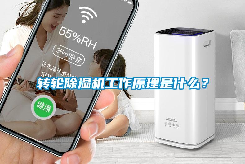 轉輪除濕機工作原理是什么？