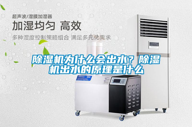 除濕機為什么會出水？除濕機出水的原理是什么