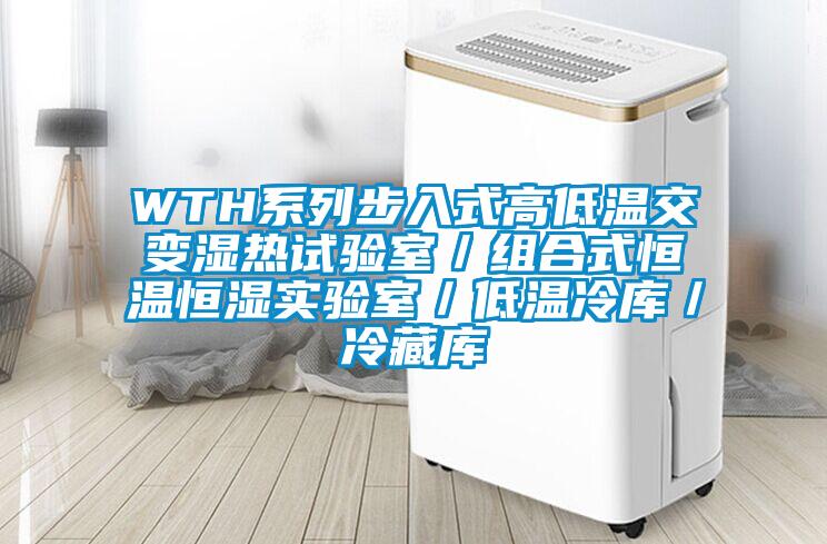 WTH系列步入式高低溫交變濕熱試驗(yàn)室／組合式恒溫恒濕實(shí)驗(yàn)室／低溫冷庫(kù)／冷藏庫(kù)