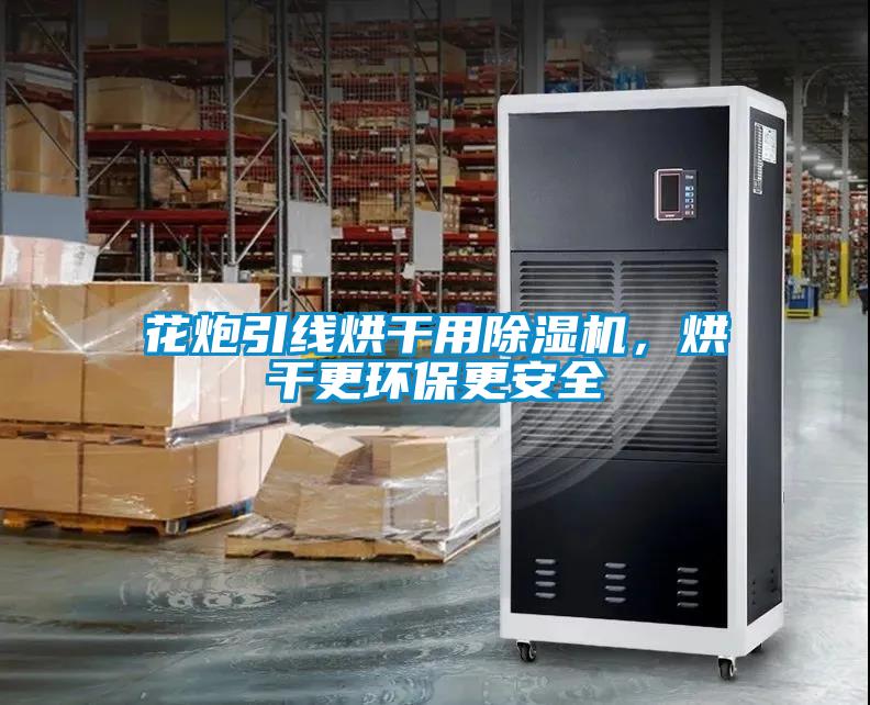 花炮引線(xiàn)烘干用除濕機(jī)，烘干更環(huán)保更安全