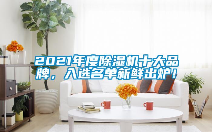 2021年度除濕機(jī)十大品牌，入選名單新鮮出爐！