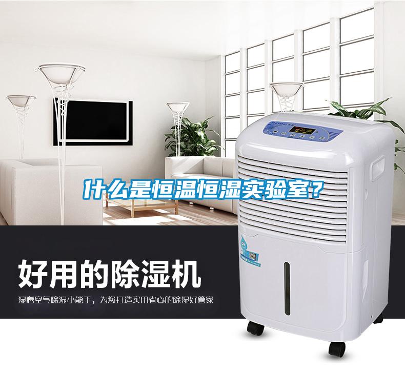 什么是恒溫恒濕實驗室？