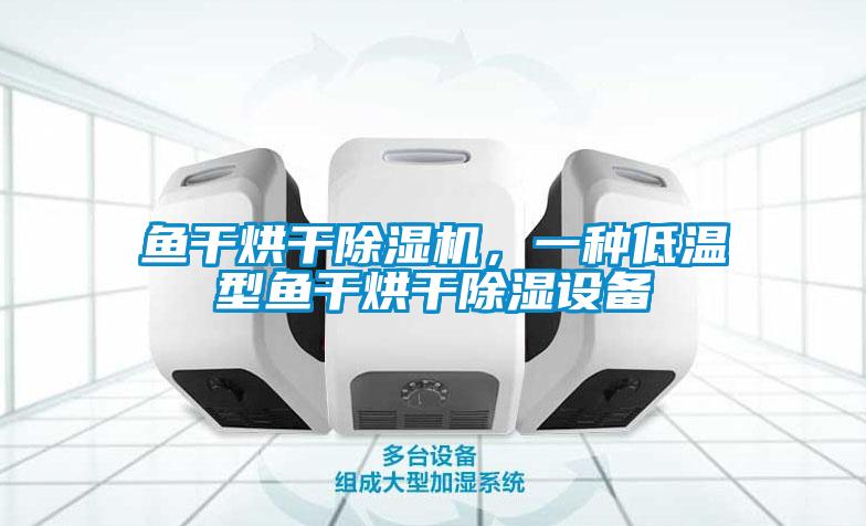 魚干烘干除濕機，一種低溫型魚干烘干除濕設備